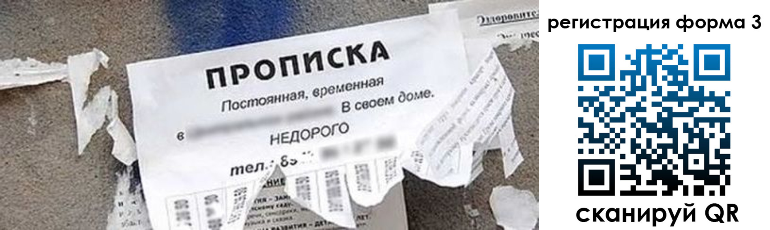прописка 2025 в Краснозаводске